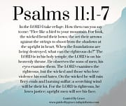 IN THE LORD I TAKE REFUGE / PSALMS 11:1-7