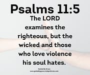 THOSE WHO LOVE VIOLENCE HIS SOUL HATES / PALMS 11:5