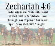 NOT BY MIGHT NOR BY POWER BUT BY MY SPIRIT / ZECHARIAH 4:6