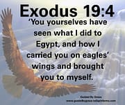 I CARRIED YOU ON EAGLES' WINGS / EXODUS 19:4