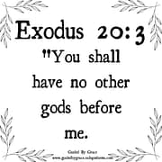 YOU SHALL HAVE NO OTHER GODS BEFORE ME / EXODUS 20:3
