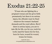 SHE GIVES BIRTH PREMATURELY / EXODUS 21:22-25