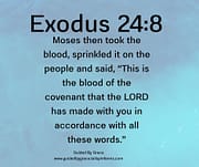 THE BLOOD OF THE COVENANT / EXODUS 24:8