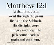 SABBATH / MATTHEW 12:1