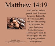 LOAVES AND FISH / MATTHEW 14:19