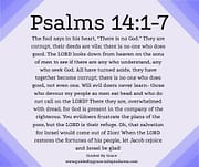 THE FOOL / PSALMS 14:1-7