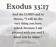 I AM PLEASED WITH YOU / EXODUS 33:17