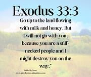 I WILL NOT GO WITH YOU / EXODUS 33:3