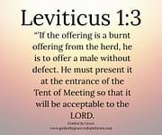 BURNT OFFERING / LEVITICUS 1:3