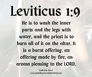 AROMA PLEASING TO THE LORD / LEVITICUS 1:9