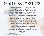 IF YOU HAVE FAITH / MATTHEW 21:21-22