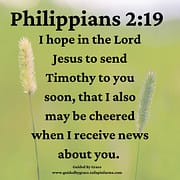 TIMOTHY / PILIPPIANS 2:19