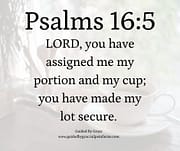 ASSIGNED ME MY PORTION AND MY CUP / PSALMS 16:5