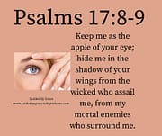 THE APPLE OF YOUR EYE / PSALMS 17:8-9