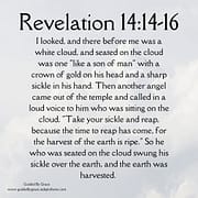 LIKE A SON OF MAN / REVELATION 14:14-16