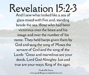 VICTORIOUS OVER THE BEAST / REVELATION 15:2-3