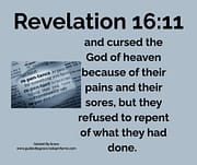 REFUSED TO REPENT / REVELATION 16:11