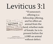FELLOWSHIP OFFERING / LEVITICUS 3:1