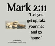HEALING THE PARALYZED MAN / MARK 2:11