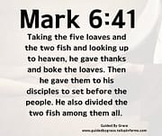 FIVE LOAVES ... TWO FISH ... THANKSGIVING AT MEALTIMES / MARK 6:41