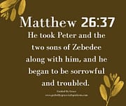 HE BEGAN TO BE SORROWFUL