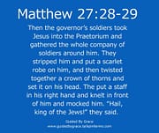 A SCARLET ROBE ... A CROWN OF THORNS / MATTHEW 27:28-29