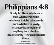 WHATEVER IS PURE / PHILIPPIANS 4:8