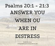 ANSWER YOU WHEN YOU ARE IN DISTRESS / PSALMS 20:1 - 21:13