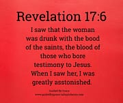 THE BLOOD OF THE SAINTS / REVELATION 17:6