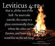 OUTSIDE THE CAMP / LEVITICUS 4:12