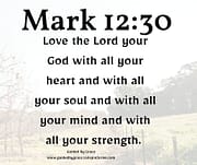 LOVE THE LORD YOUR GOD / MARK 12:30
