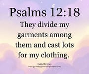DIVIDE MY GARMENTS AMONG THEM / PSALMS 22:18