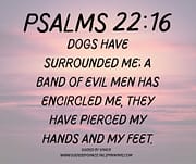 PIERCED MY HANDS AND MY FEET / PSALMS 22:16