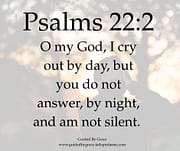 I CRY OUT ... YOU DO NOT ANSWER / PSALMS 22:2