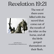 THE REST OF THEM WERE KILLED / REVELATION 19:21