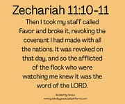 REVOKING THE COVENANT / ZECHARIAH 11:10-11