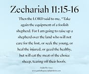 A FOOLISH SHEPHERD / ZECHARIAH 11:15-16