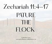 PASTURE THE FLOCK / ZECHARIAH 11:4-17