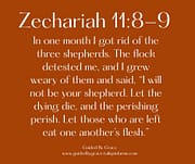 I WILL NOT BE YOUR SHEPHERD / ZECHARIAH 11:8-9