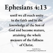 UNITY IN THE FAITH / EPHESIANS 4:13