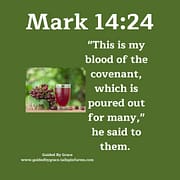 BLOOD OF THE COVENANT / MARK 14:24