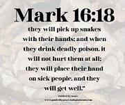 PICK UP SNAKES / MARK 16:18