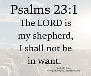MY SHEPHERD - I HALL NOT BE IN WANT / PSALMS 23:1