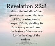THE TREE OF LIFE / REVELATION 22:2