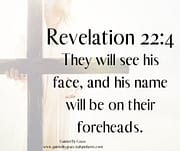 THEY WILL SEE HIS FACE / REVELATION 22:4