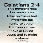 FALSE BROTHERS / GALATIANS 2:4