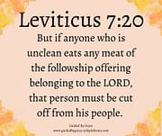 UNCLEAN ... MUST BE CUT OFF / LEVITICUS 7:20