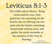 AARON AND HIS SONS / LEVITICUS 8:1-3