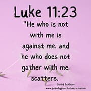 WHO IS NOT WITH ME IS AGAINST ME / LUKE 11:23