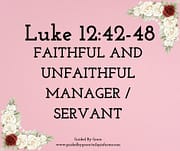FAITHFUL AND UNFAITHFUL MANAGER - SERVANT / LUKE 12:42-48